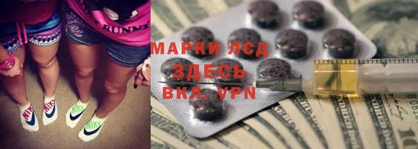 spice Алзамай