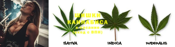 spice Алзамай