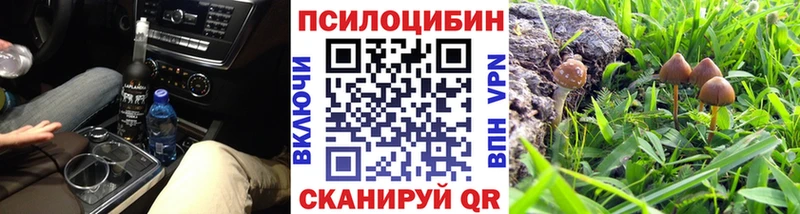 Псилоцибиновые грибы мицелий  сколько стоит  Любим 